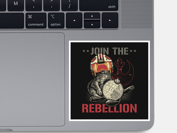 Join The Cat Rebellion