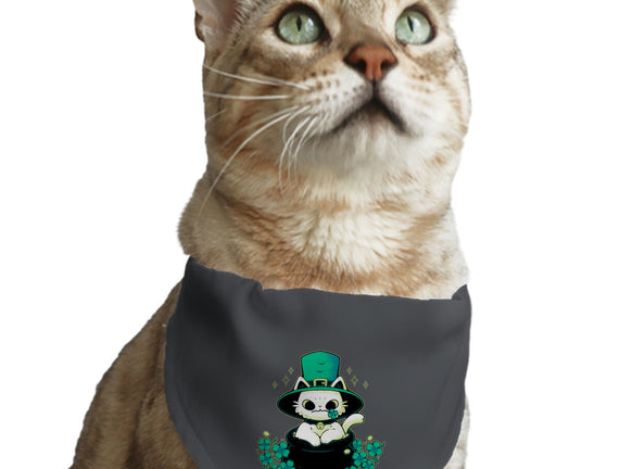 Cute St Patrick Cat