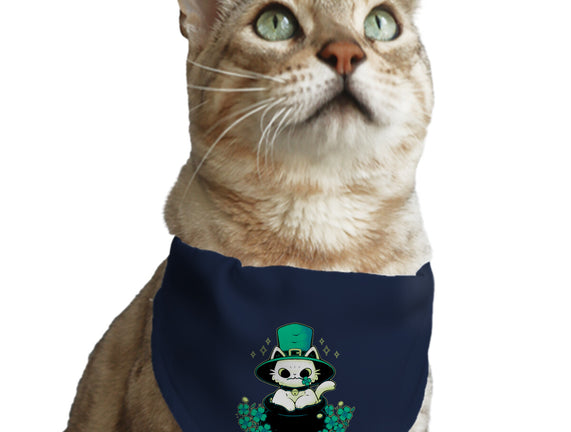 Cute St Patrick Cat