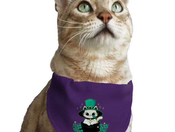 Cute St Patrick Cat