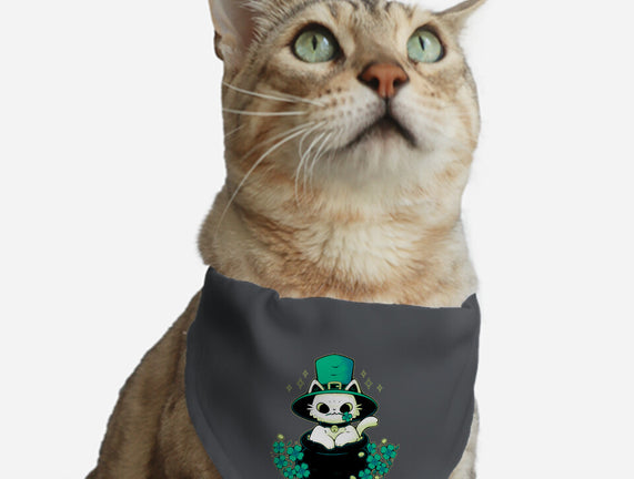 Cute St Patrick Cat