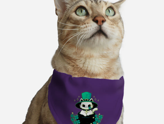 Cute St Patrick Cat