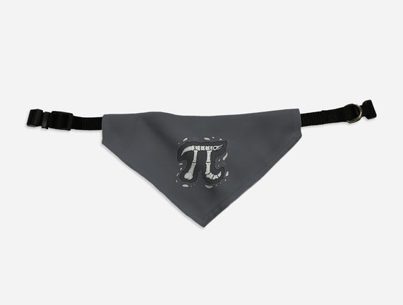 Pi-leontology