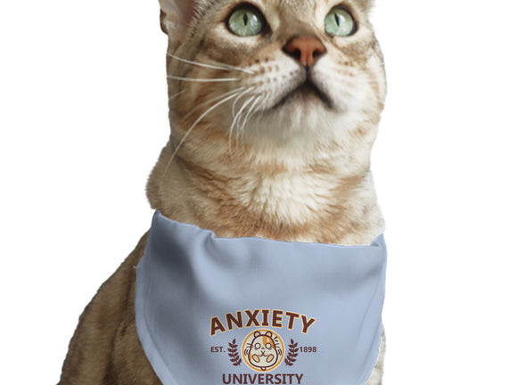 Anxiety University