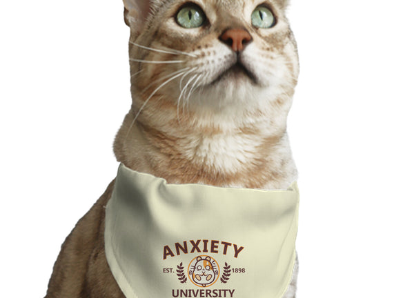 Anxiety University