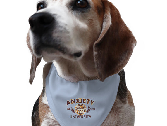 Anxiety University