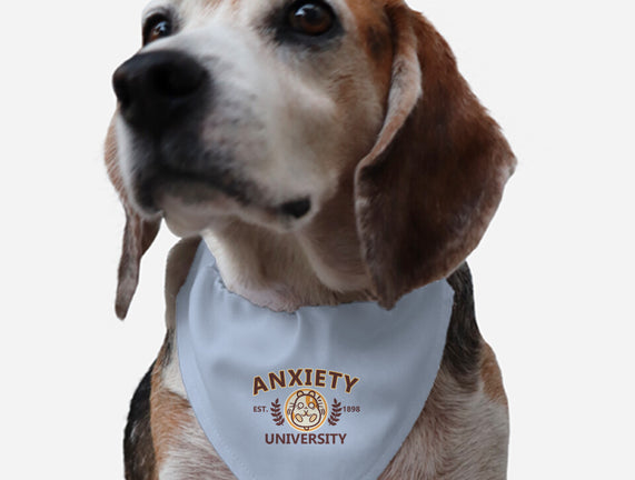 Anxiety University