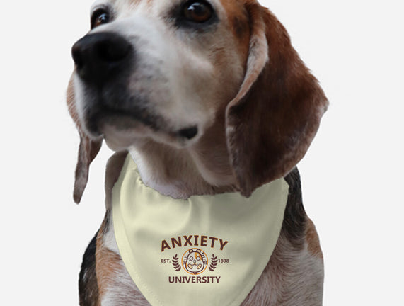 Anxiety University