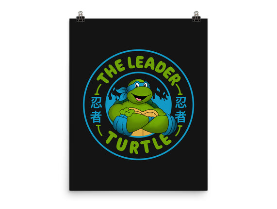 The Leader Turtle