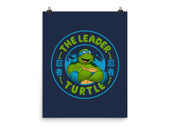 The Leader Turtle