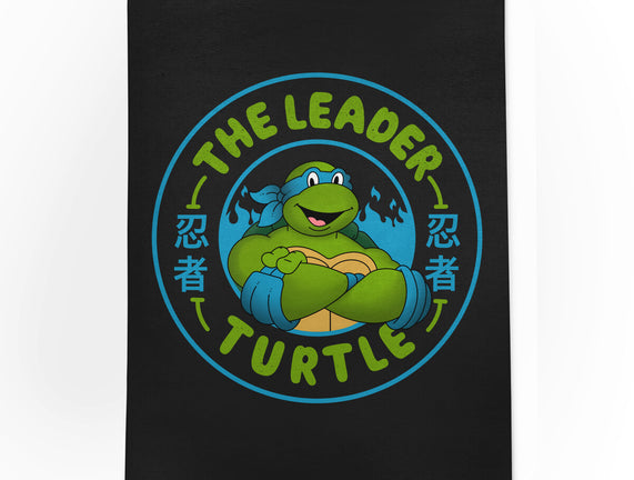 The Leader Turtle