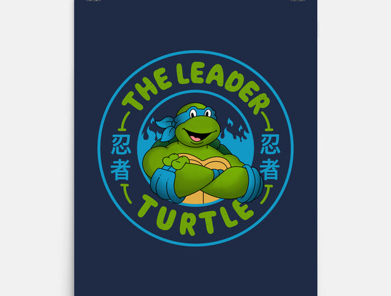 The Leader Turtle