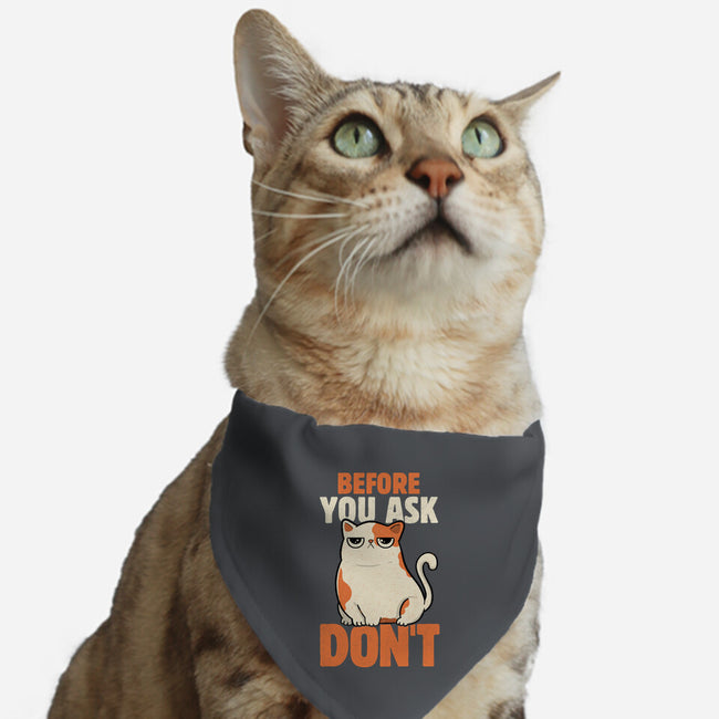 Before You Ask Don't-Cat-Adjustable-Pet Collar-tobefonseca