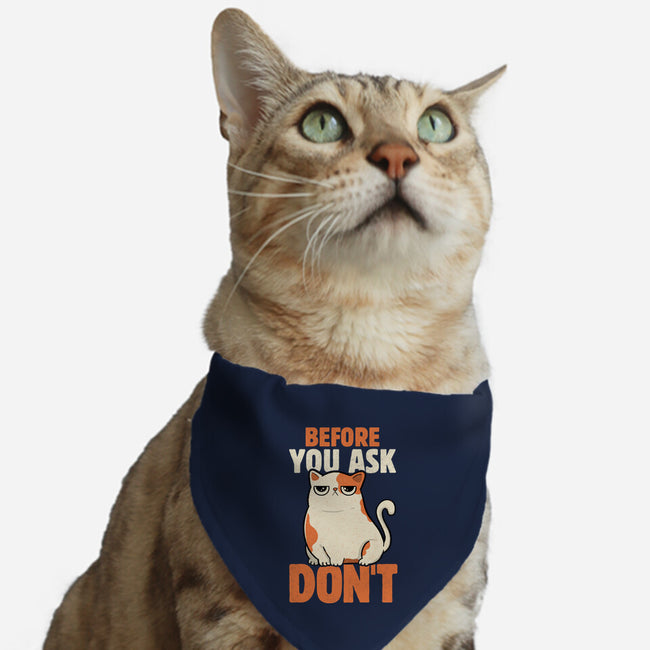 Before You Ask Don't-Cat-Adjustable-Pet Collar-tobefonseca