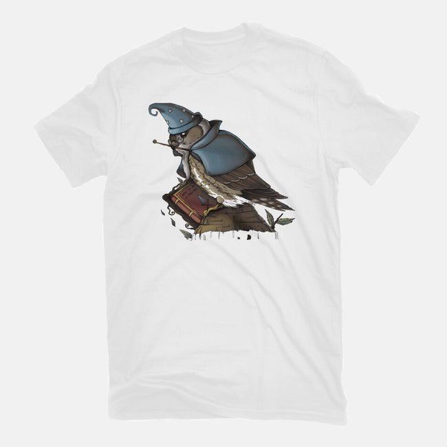 Merlin Bird-Mens-Premium-Tee-Vallina84