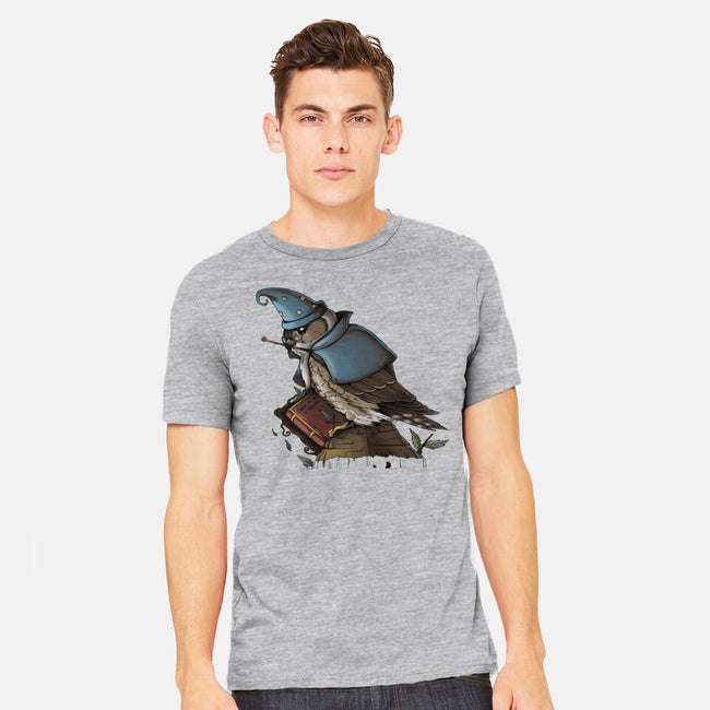 Merlin Bird-Mens-Heavyweight-Tee-Vallina84