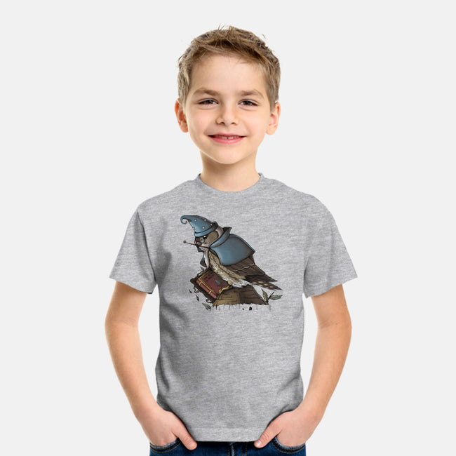 Merlin Bird-Youth-Basic-Tee-Vallina84