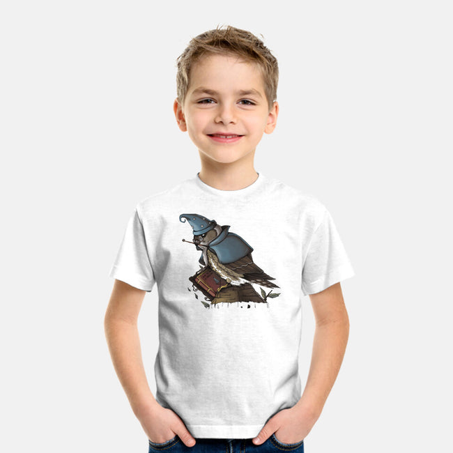 Merlin Bird-Youth-Basic-Tee-Vallina84