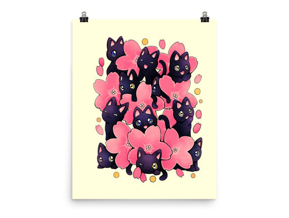 Sakura Cats