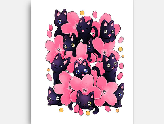 Sakura Cats