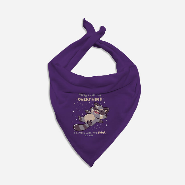 No Thoughts Raccoon-Cat-Bandana-Pet Collar-TechraNova