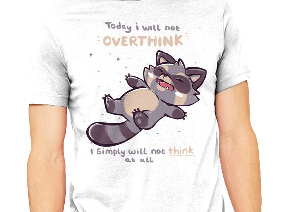 No Thoughts Raccoon