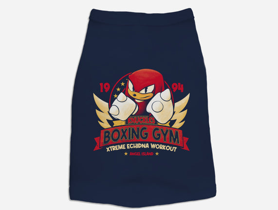 Knuckles Boxing Gym