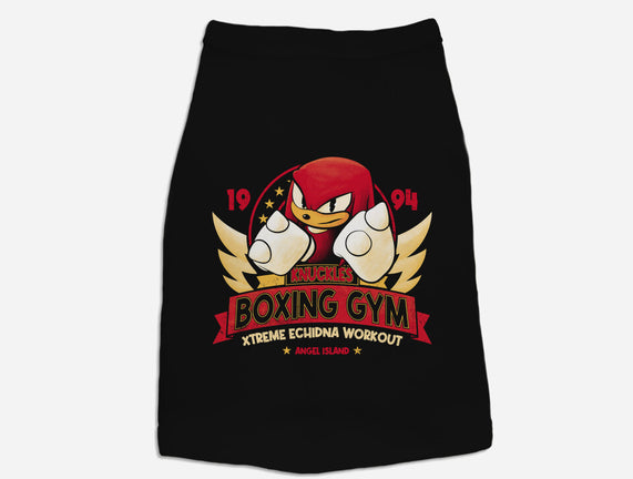 Knuckles Boxing Gym