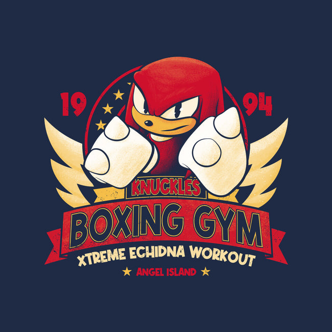 Knuckles Boxing Gym-None-Fleece-Blanket-teesgeex