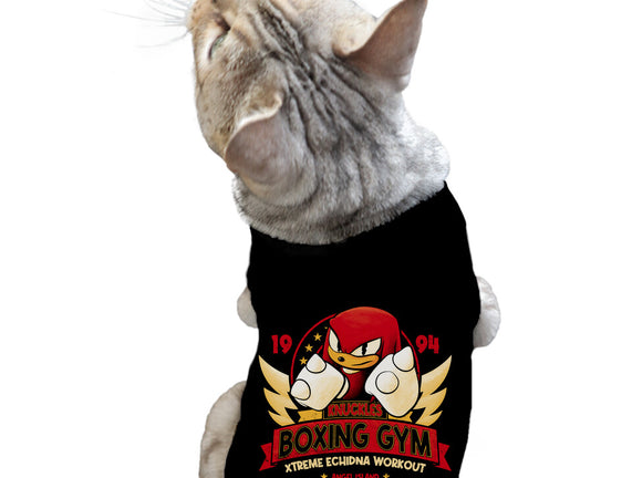 Knuckles Boxing Gym