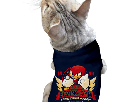 Knuckles Boxing Gym