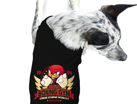 Knuckles Boxing Gym