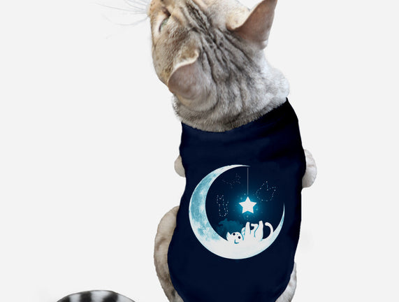 Kitten Moon Night