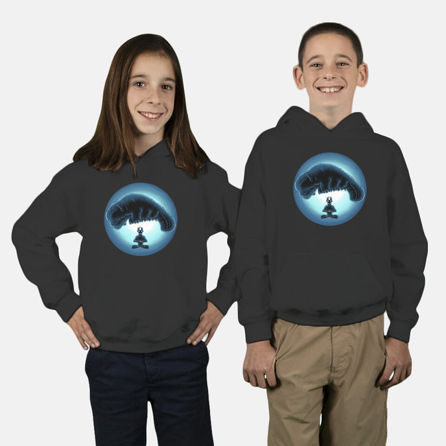 Boy In The Iceberg-Youth-Pullover-Sweatshirt-rmatix