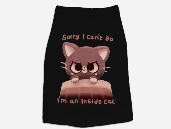 Inside Cat