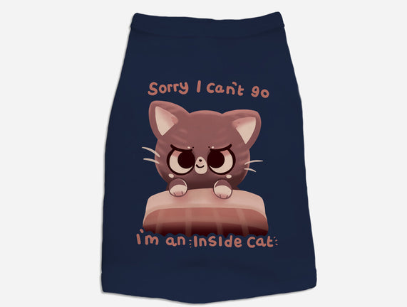 Inside Cat