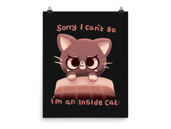 Inside Cat