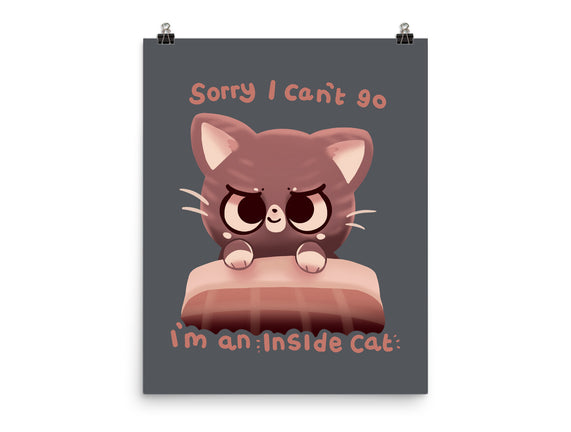 Inside Cat