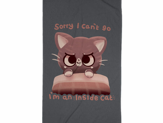 Inside Cat