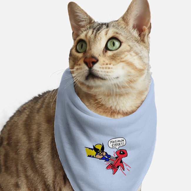 Maximum Effort-Cat-Bandana-Pet Collar-Diego Oliver