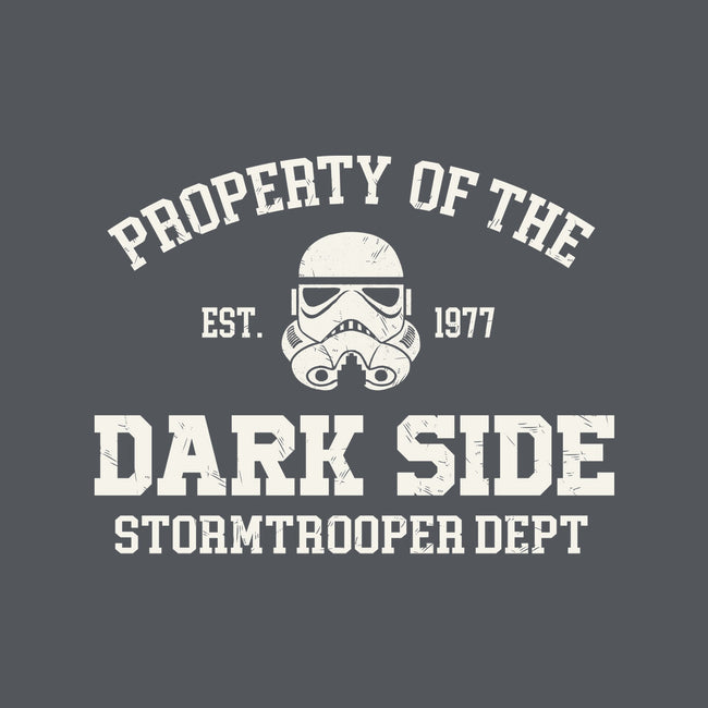 Property Of Dark Side-None-Memory Foam-Bath Mat-Melonseta