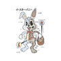 Easter Bunny Anatomy-None-Stretched-Canvas-Firebrander