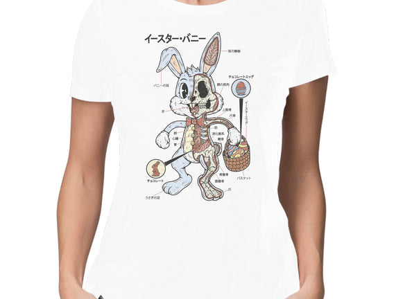 Easter Bunny Anatomy