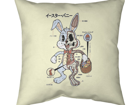 Easter Bunny Anatomy