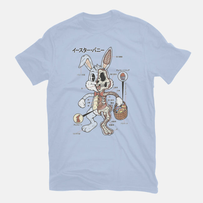 Easter Bunny Anatomy-Mens-Premium-Tee-Firebrander