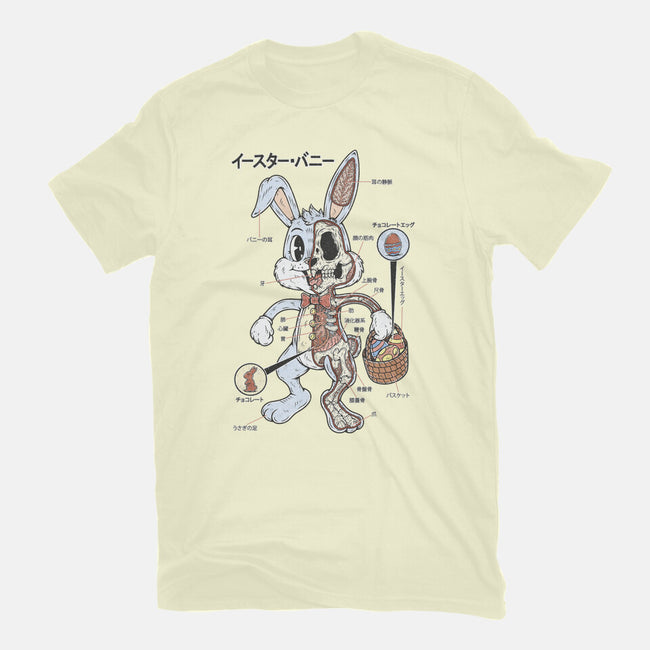 Easter Bunny Anatomy-Mens-Basic-Tee-Firebrander