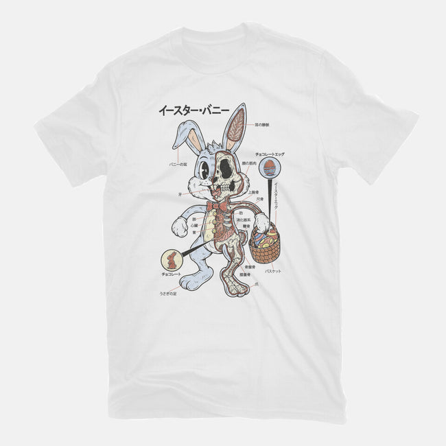 Easter Bunny Anatomy-Mens-Basic-Tee-Firebrander