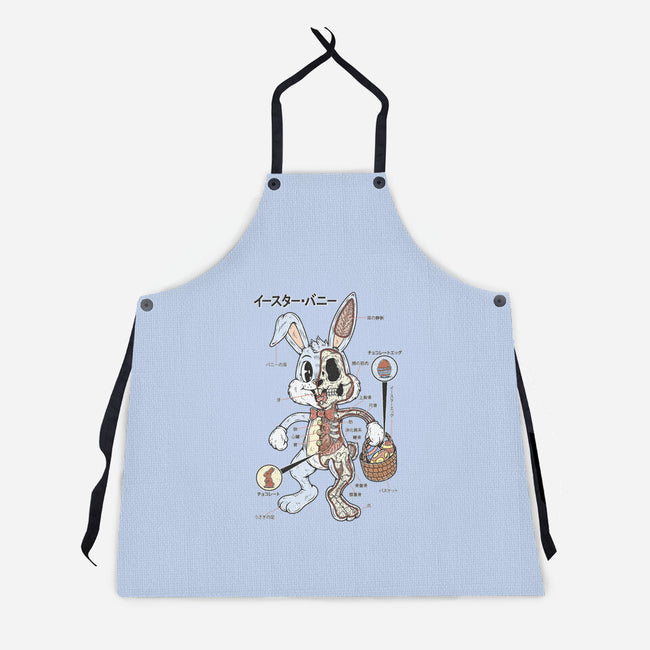 Easter Bunny Anatomy-Unisex-Kitchen-Apron-Firebrander