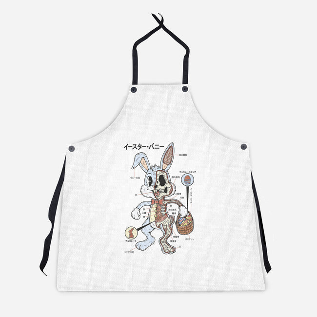 Easter Bunny Anatomy-Unisex-Kitchen-Apron-Firebrander