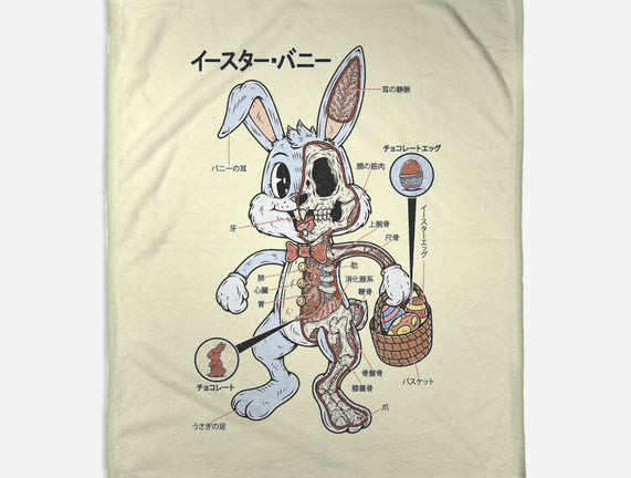 Easter Bunny Anatomy